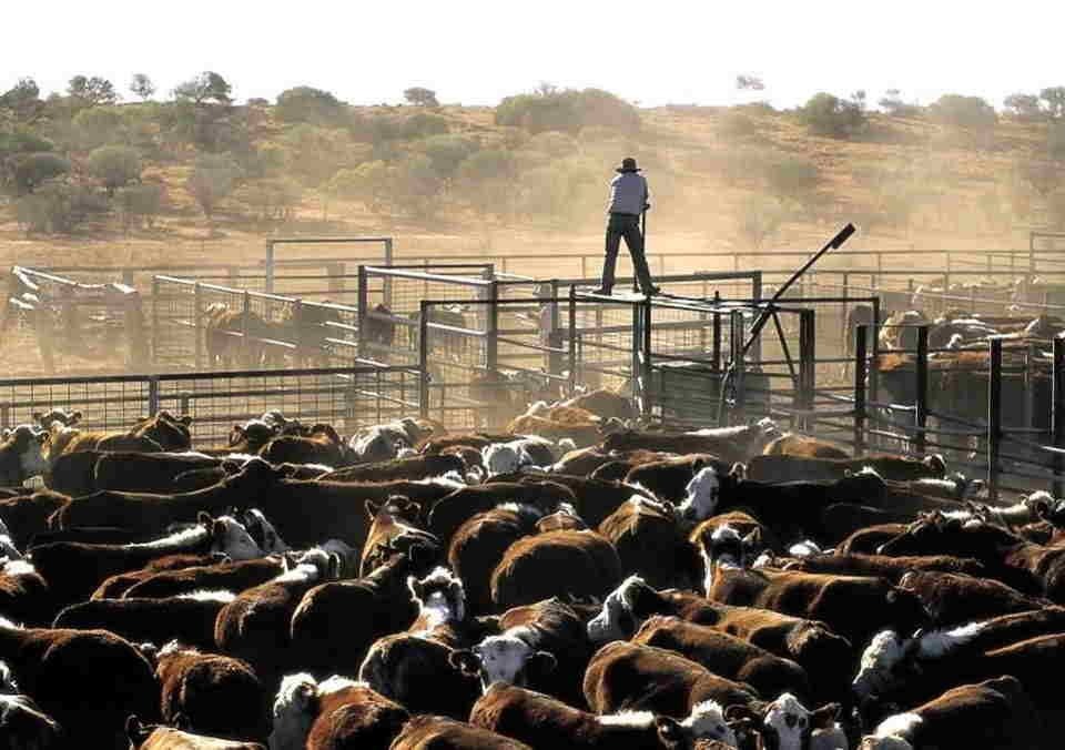 Precision farming in Australian agricultural