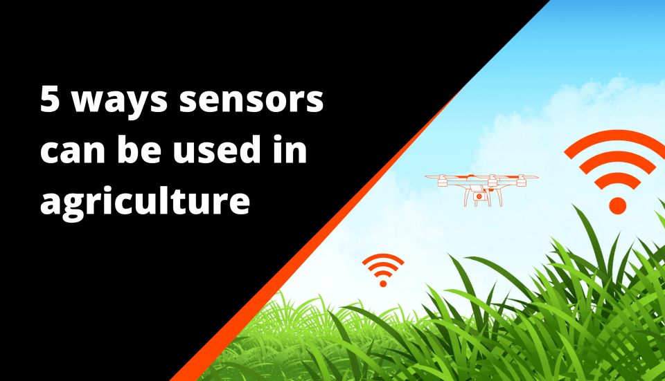 Sensors: five ways they can be used in agriculture